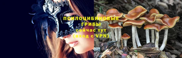 Альфа ПВП Баксан