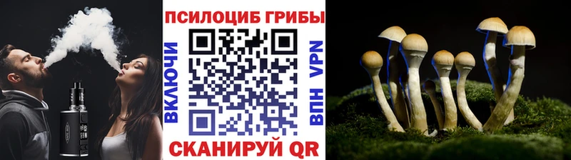 ссылка на мегу ONION  это Telegram  Псилоцибиновые грибы Cubensis  Богучар 